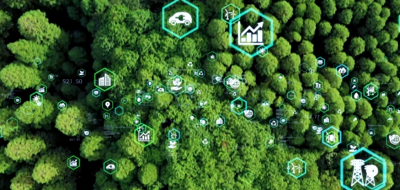 国際社会への貢献活動